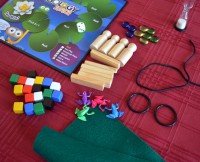 Morphology Junior board game