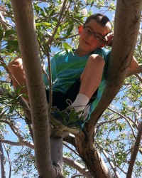 climbing tree