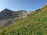 Mount Timpanogos hike