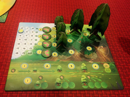 Photosynthesis board game