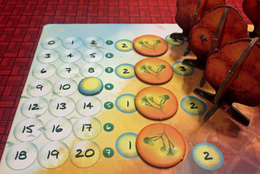 Photosynthesis board game