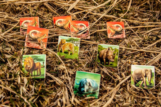 Serengeti cooperative board game