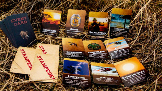 Serengeti cooperative board game