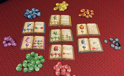 The Quacks of Quedlinburg board game