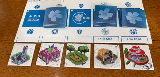 Bloom Town board game