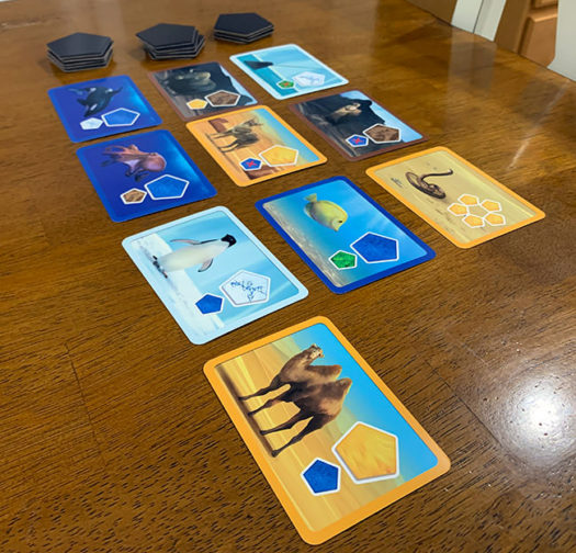 Planet board game