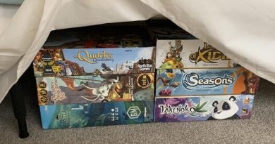 Board game storage solutions