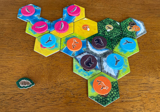 Cascadia board game